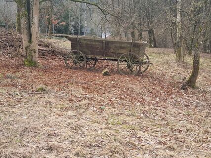 Fotografija s spletne strani Volker Wagener na poti