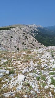 Foto från Aga M under resans gång