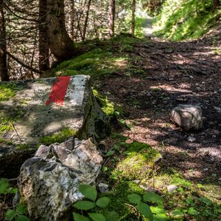 Pagig-Castiel_Schanfigger Dörferweg
