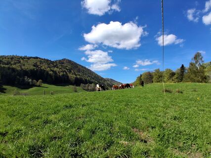 Fotografija s spletne strani Stefan38 na poti