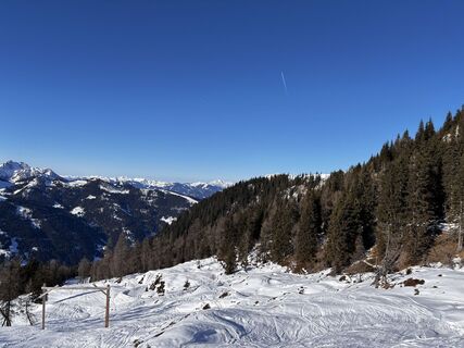 Foto von Yvonne Sprengnöder entlang der Tour