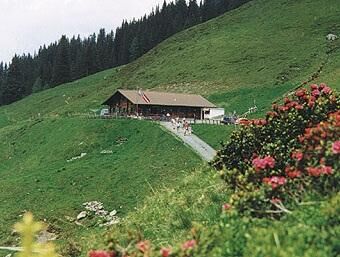Hacklbergeralm