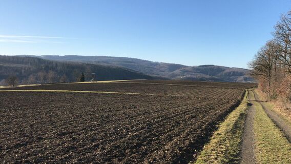 Giebelwald