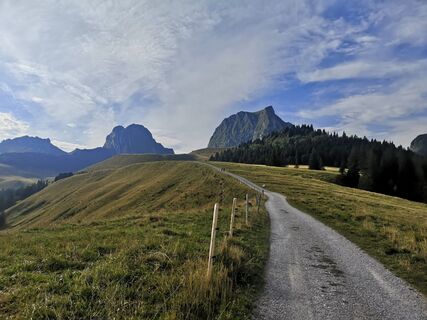 Weg Richtung Alp Obernünenen - Gantrisch Wanderung