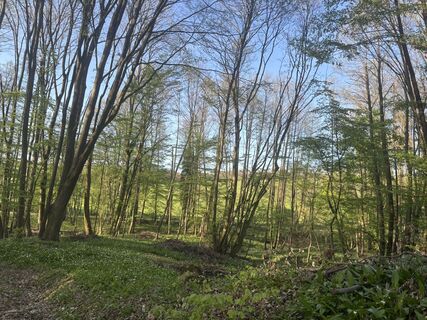 Foto de Reti Alicia a lo largo del recorrido