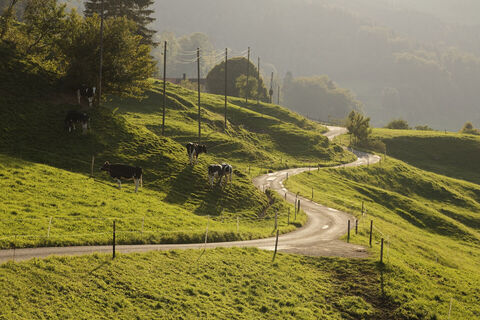 Jura im Herbst