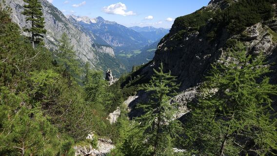 Foto från kriessda under resans gång