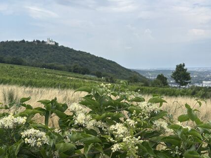 Foto da Robert Kremlicka lungo il tour