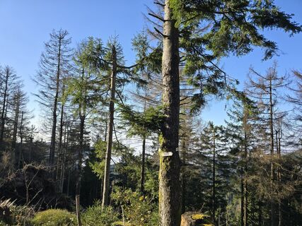 Fotografija s spletne strani Michel Kennel na poti