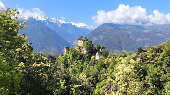 Photo from Nozzo along the tour