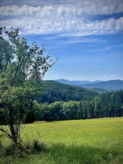 Photo de Kellner Heidi le long du parcours