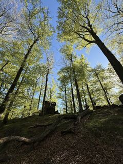 Foto von Marunka Kostalova entlang der Tour