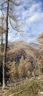 Foto de Daniel Böhm a lo largo del recorrido