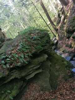 Fotografie z Dagmar Hofer na trase