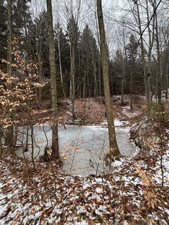 Foto de Georgiamartin0815 a lo largo del recorrido