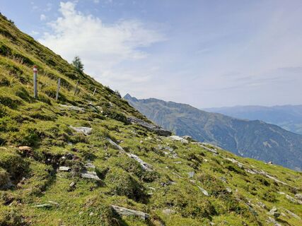 Fotografia z Alexanderaigner na trase