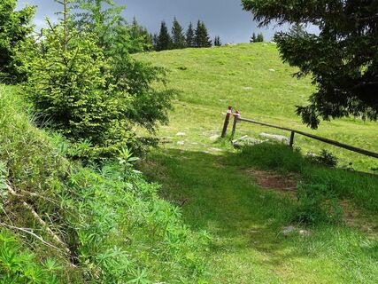 gute Markierung auf dem Weg