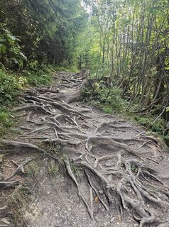 Foto von Martina entlang der Tour