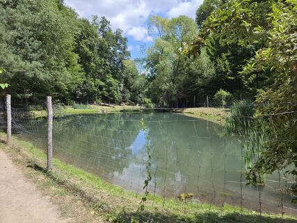 Photo de Bálint Tóth 4 le long du parcours