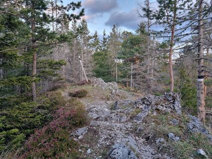 Foto de Christina Fröhlich a lo largo del recorrido