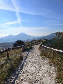 Photo de Andrea Treichl le long du parcours