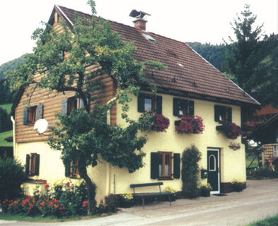 Romantikhaus zum Dachsteinblick