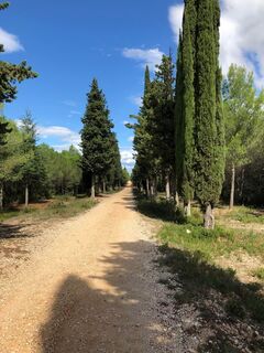 Zypressenallee - Rundkurs Nr. 6