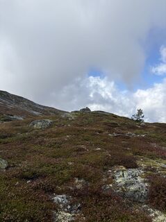 Foto fra Jako Koel undervejs på turen