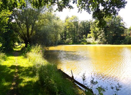 Detmold-Residenzweg5-Teutoburger Wald-LTM GmbH-Guido Röcken.JPG