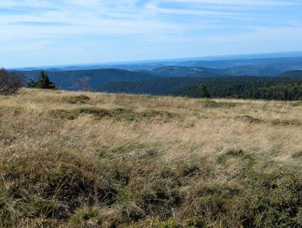 Fotó a Matje Derks honlapról a túra során