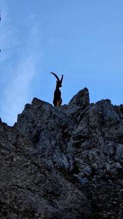 Fotografija s spletne strani se_muck na poti