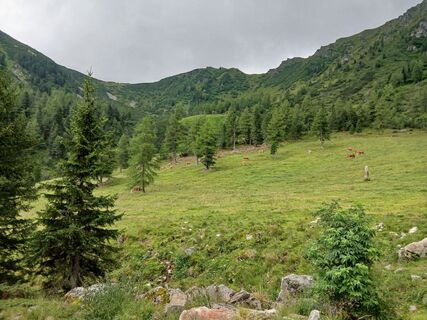 Foto von Andreas Cap entlang der Tour