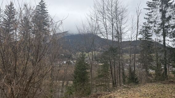 Foto de Christian Holzer 3 a lo largo del recorrido