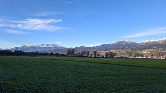 Photo de Mangolein le long du parcours