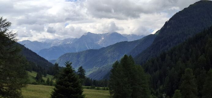 Fotografija s spletne strani David Bubenheim na poti