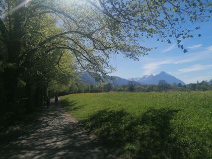 Fotografija s spletne strani luyyy na poti