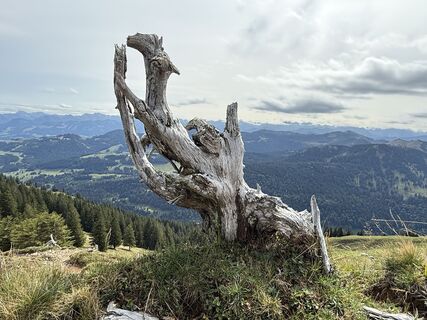 Foto von Norbert Herbig entlang der Tour