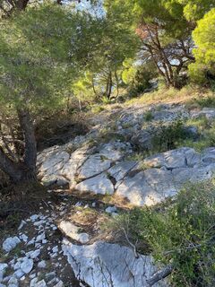 Photo de Anna Schwinger le long du parcours