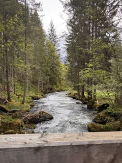 Foto von Pauline Pietsch entlang der Tour