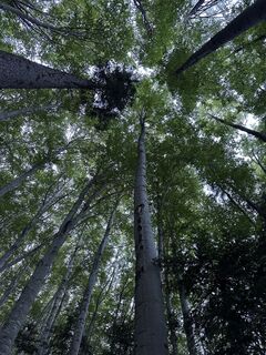 Fotografia z Andreas Krogmann na trase
