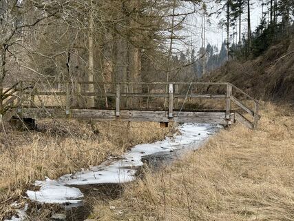 Photo de Norbert Herbig le long du parcours