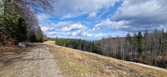 Foto de Utassy Tóth Johanna a lo largo del recorrido