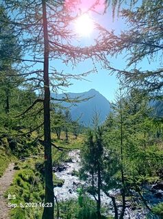 Foto von Schabsi entlang der Tour