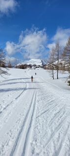 Fotografija s spletne strani Juliane Jarke na poti