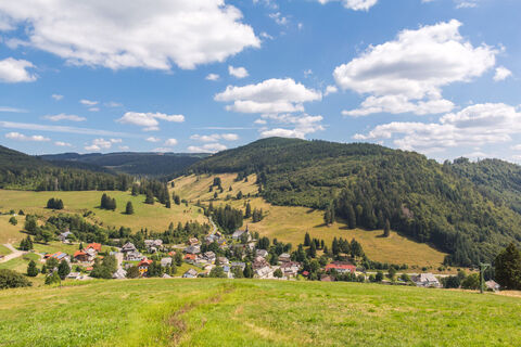 Muggenbrunn