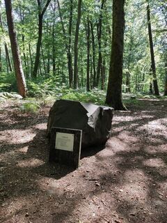 Stein des Geologischen Lehrpfads