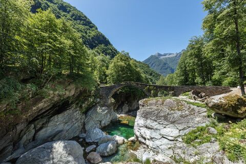 Ponte della Merla