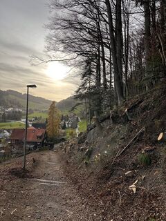 Foto von Cyrill Bischof entlang der Tour