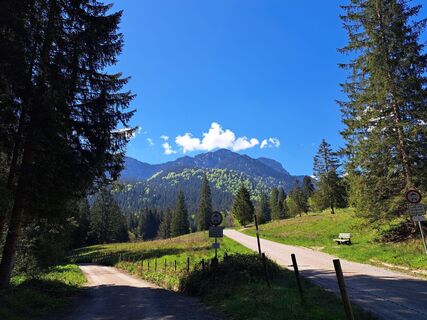 Fotografie de la Sandra Stemplinger de-a lungul turului