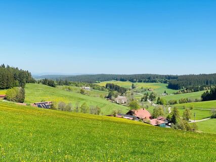 Blick auf Brigach